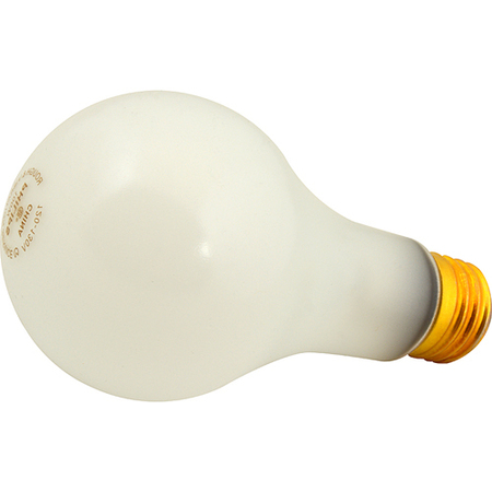 ALLPOINTS Bulb, Shatter Resistant (100W) 2531145
